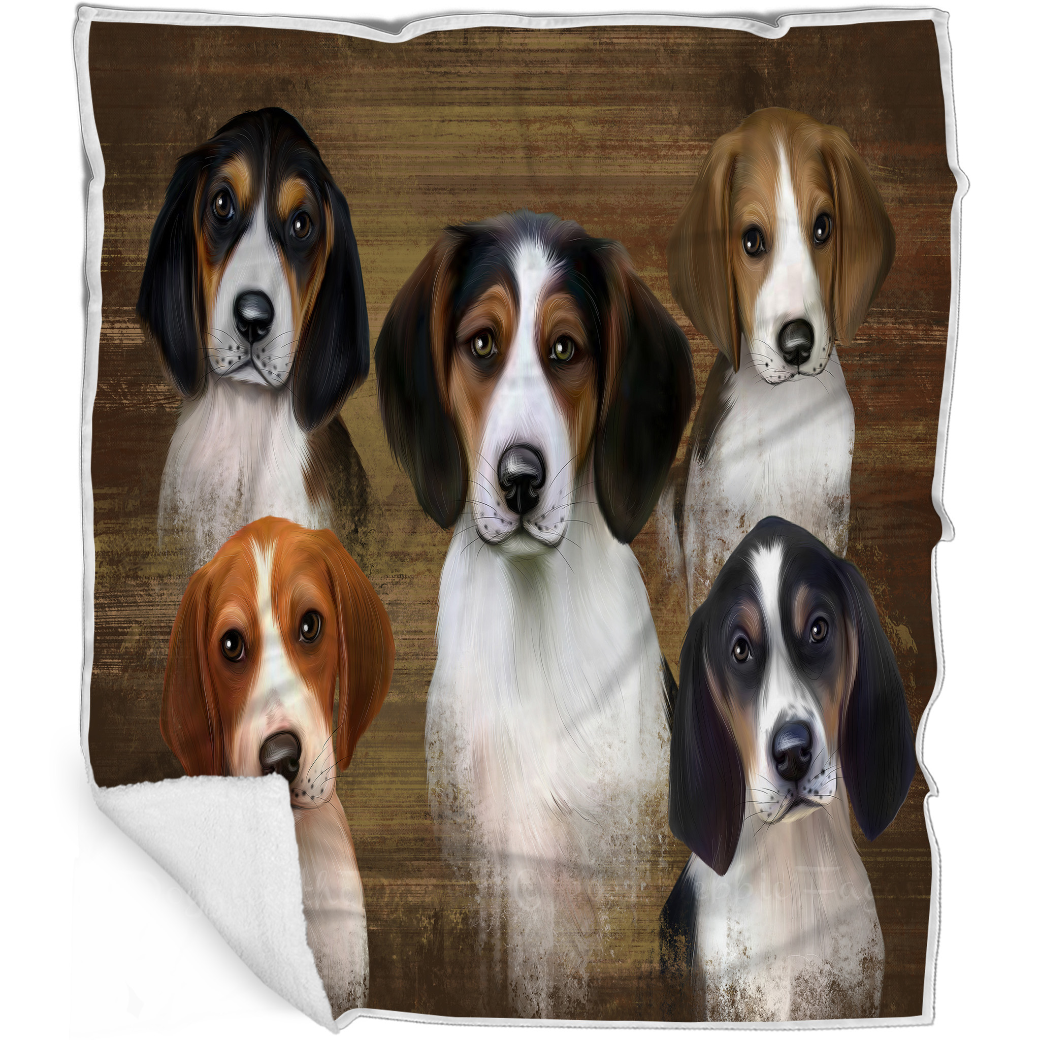 Blanket back outlet walker coonhound